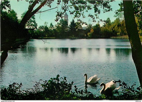 Carte postale animaux - animaux,