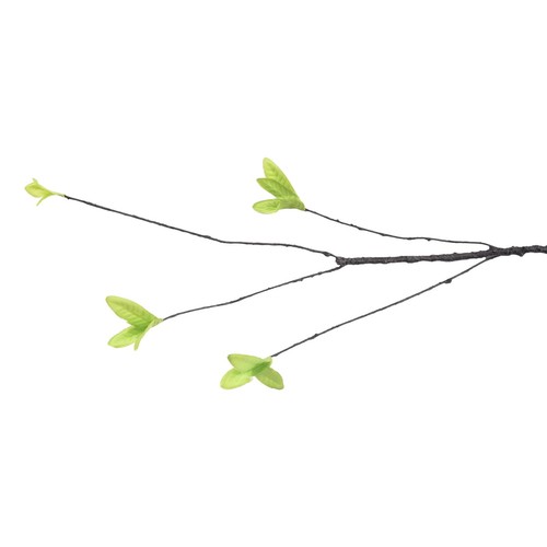 Bois mort branche arbre - branche, d'arbre