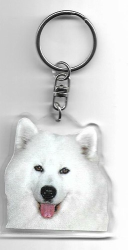 Samoyede chien porte - samoyede, /