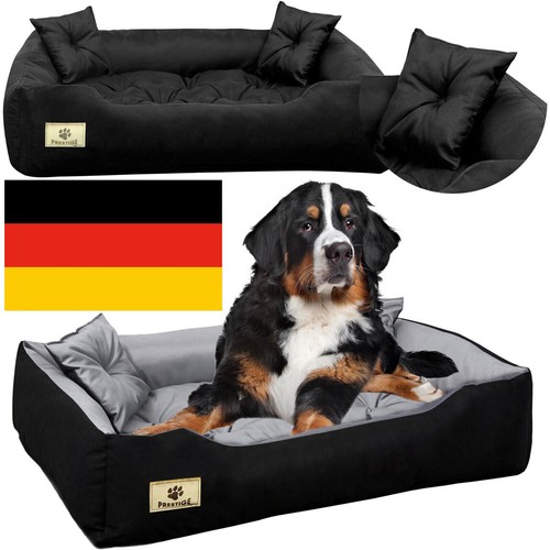 Lit pour chien - coussin,