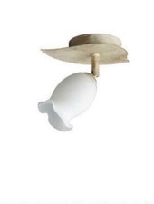 Massive Applique Tulipia