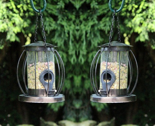 Sauvage jardin oiseau - 2,