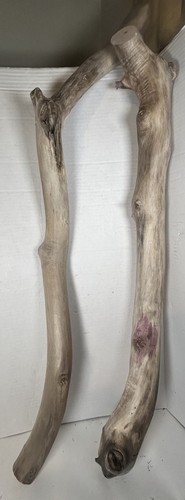Driftwood piece taxidermy - driftwood,