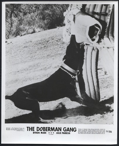 The doberman gang 72 - the,