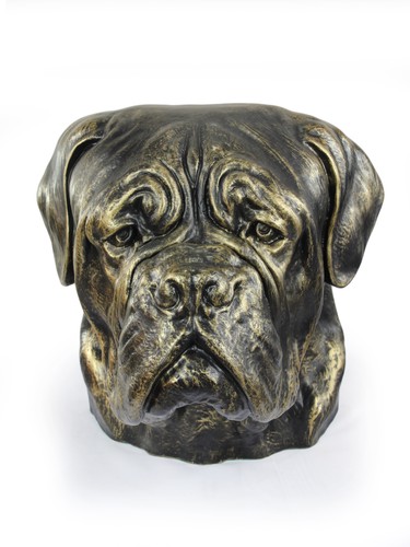 Dogue bordeaux mastiff - de, bordeaux,
