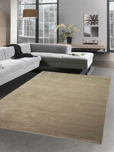 Tapis salon avec - de, coureur