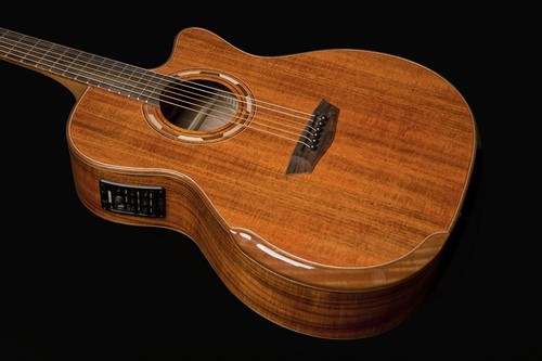 Washburn wcg55ce comfort - wcg55ce,