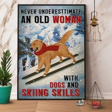 Skiing Golden Dog Skills Never