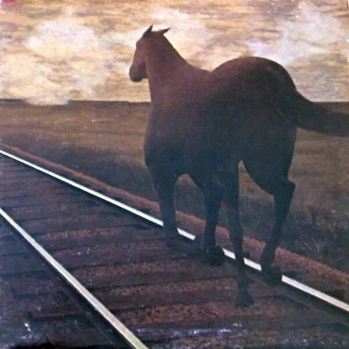 Bruce cockburn night - bruce, vision