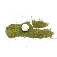 Sheet Moss - Hermit Crab Crabitat Tank Decor - Terrarium, Vivarium, Paludarium, 