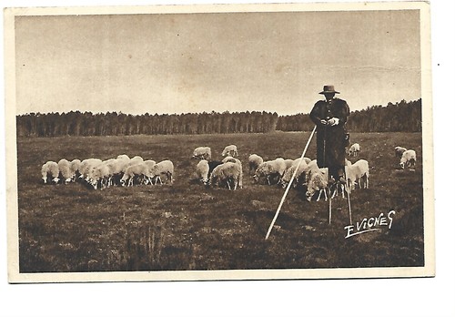 Berger sur echasse en - ,