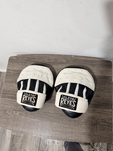 Reyes cleto boxing punching - boxing,