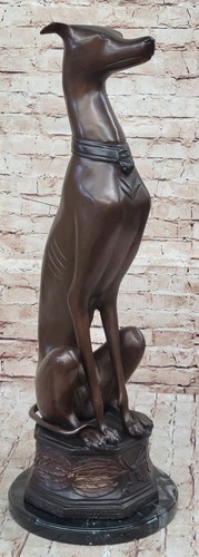 Grand lévrier whippet - grand,