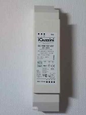 iGuzzini MWF 8.0 B2 - Driver