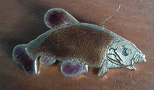 Broche Poisson carpe tanche