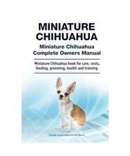 Miniature Chihuahua. Miniature