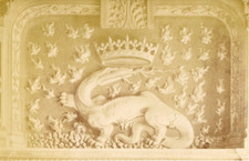 ND, France, Château de Blois, François I wing. Vinta Salamander Fireplace