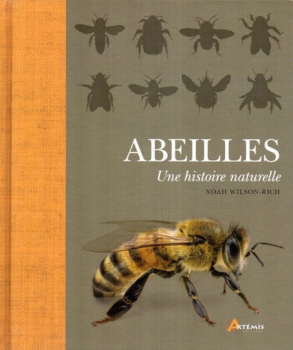 Abeilles une histoire - abeilles,
