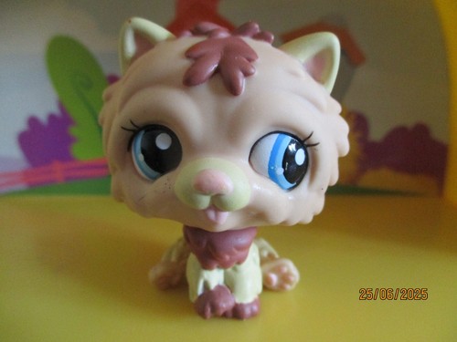 Petshop chien chow 1636 - chow, #1636