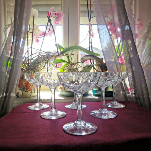 Coupes champagne en - 6,