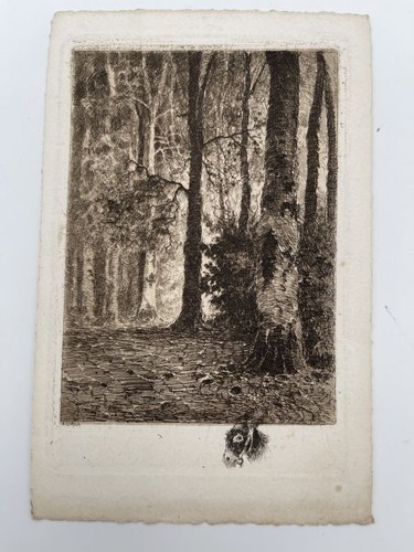 Gravure eau forte - gravure, eau-forte.