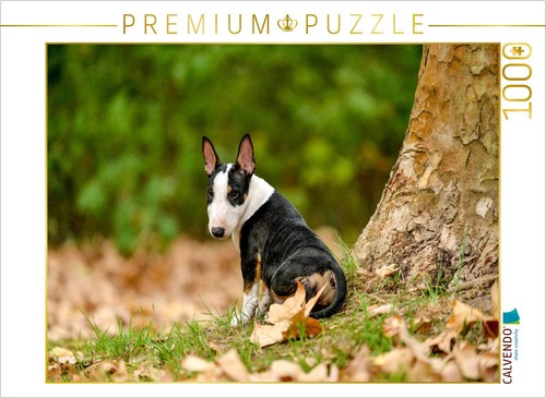 Puzzle calvendo chiot bull - calvendo,