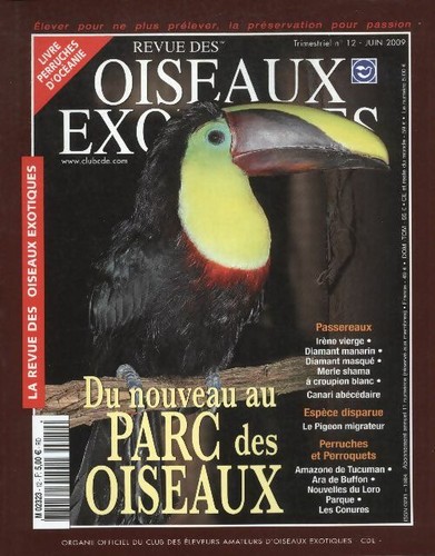 Oiseaux exotiques du - n°12,