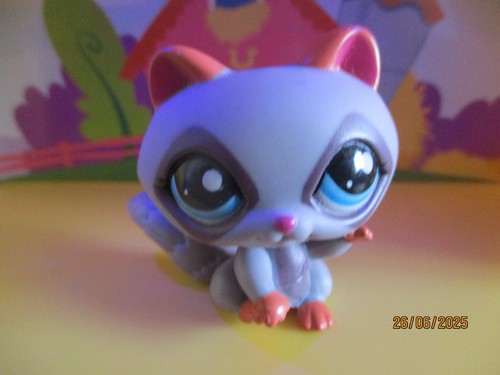 Petshop raccoon 1730 - petshop,