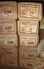 semences fraisées chaussure