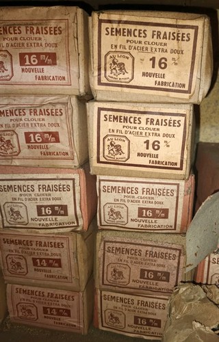 Semences fraisées chaussure - semences,