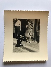 Vintage Chien Jump Women's Shadow Original Photo Snapshot - SB418
