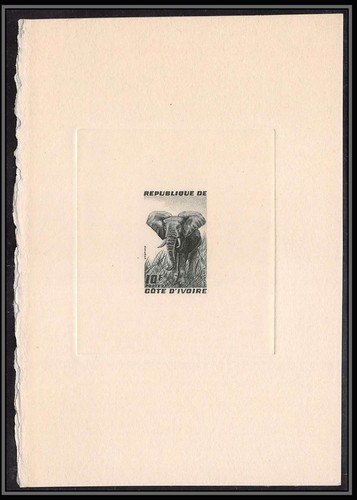 0457 epreuve artiste - 0457, d'artiste
