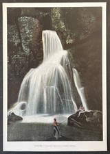 Martinique Rivière Lézard