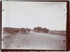 Algeria, Aurès, caravan south of l&#039;Aurès vintage print, citrate print