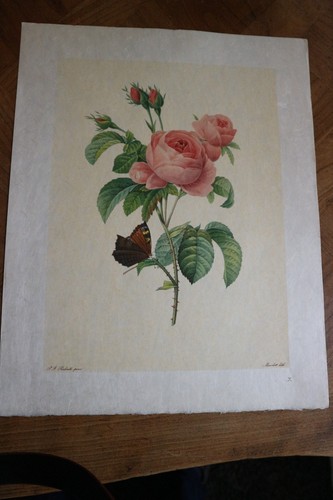 Belle lithographie fleur - de,