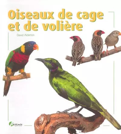 Oiseaux cage de - et,