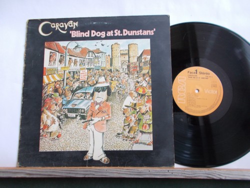 Caravan blind dog - dog, at