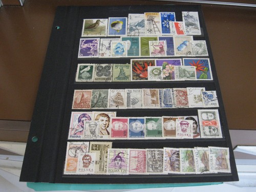 Pologne lot 100 - lot, de
