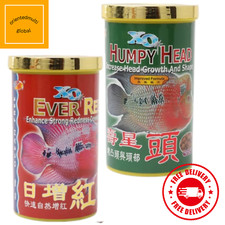 Xo Ocean Free Flowerhorn