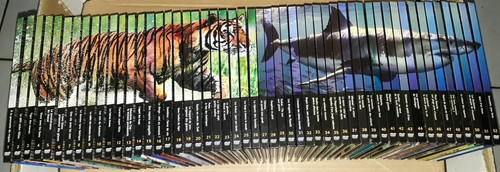 Collection complete 52 - collection,