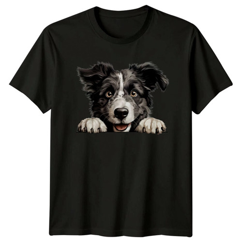 Cute border collie peeking - cute,