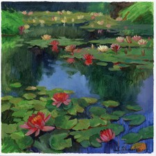 magnifiques fleurs lotus