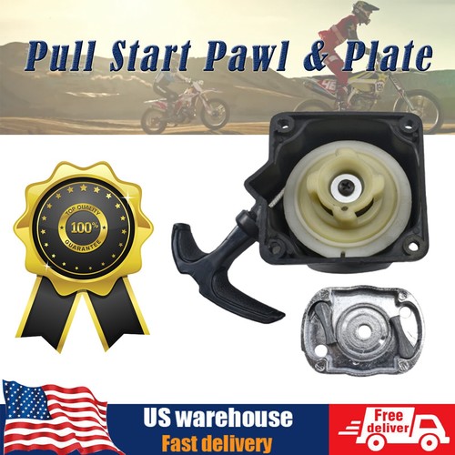 Pull start pawl plate - plate, for
