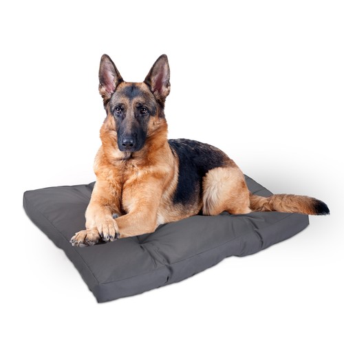 Coussin chien panier lit - panier,
