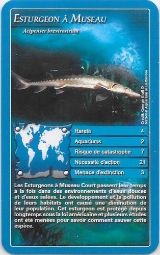 Carte top trump - top, esturgeon
