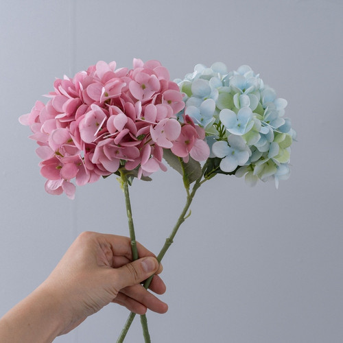 Fleurs hortensia - fleurs, d'hortensia