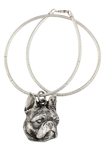 Boston terrier collier pour - boston,