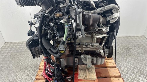 Moteur renault kangoo phase - moteur,
