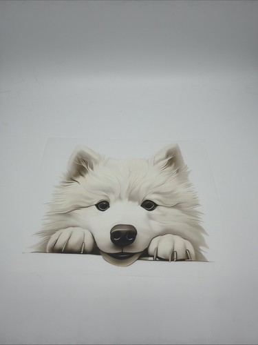 Autocollant samoyède chien - autocollant,