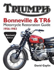 David Gaylin Triumph